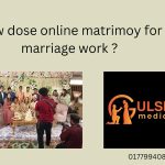 How does online matrimony for marriage work?